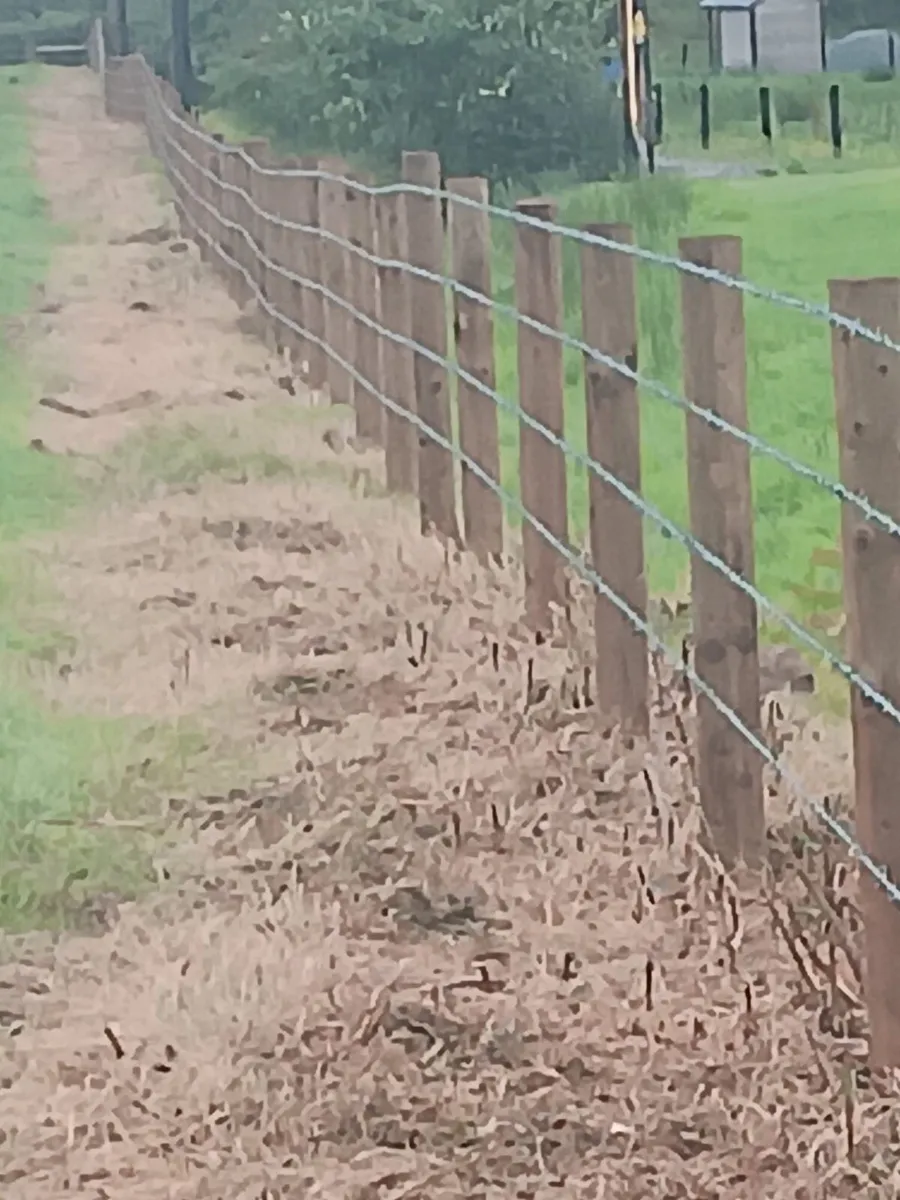 Fencing - Image 4