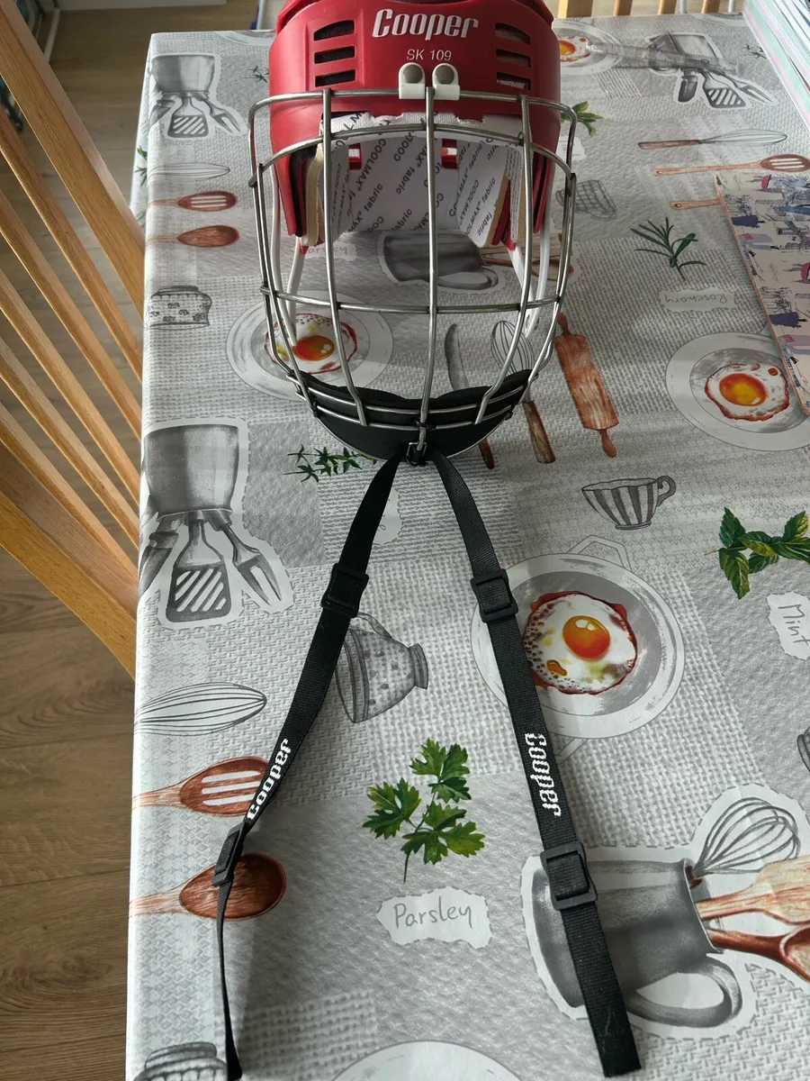 Hurling Helmet - Image 4