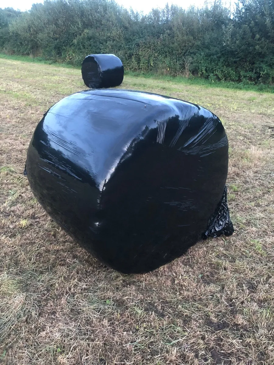 Hay / silage bales - Image 2