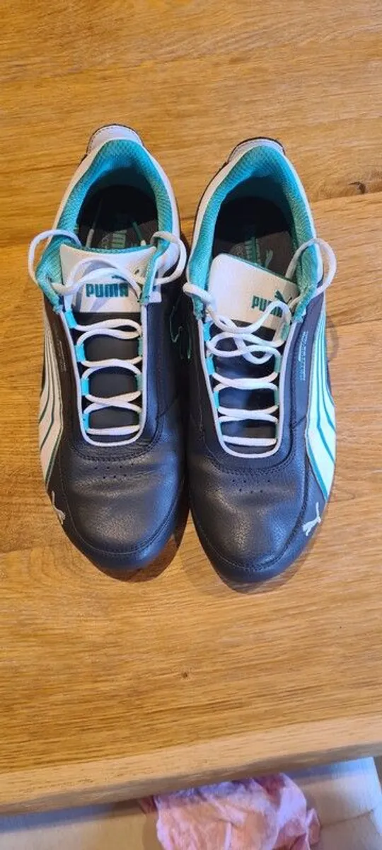 puma - Image 2
