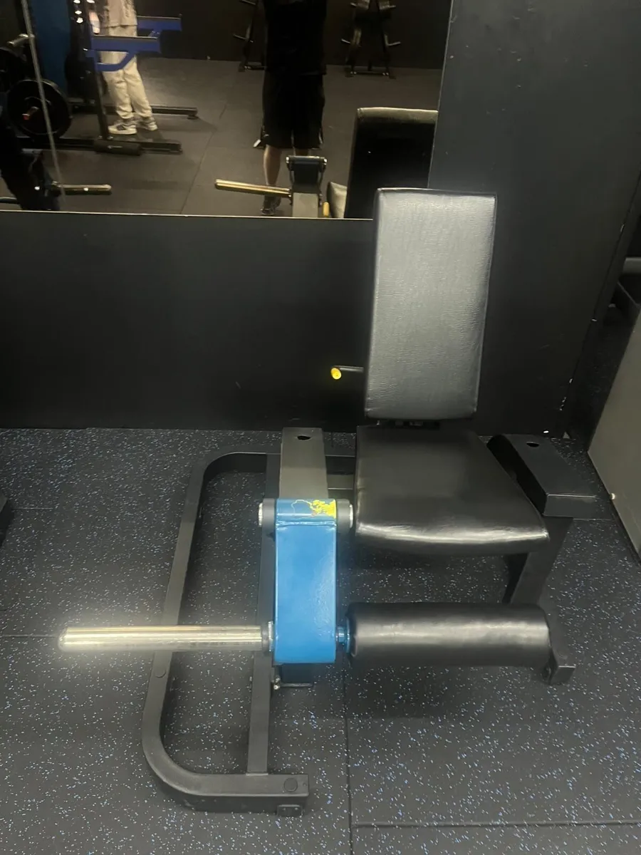 Plate loaded leg extension machine - Image 3