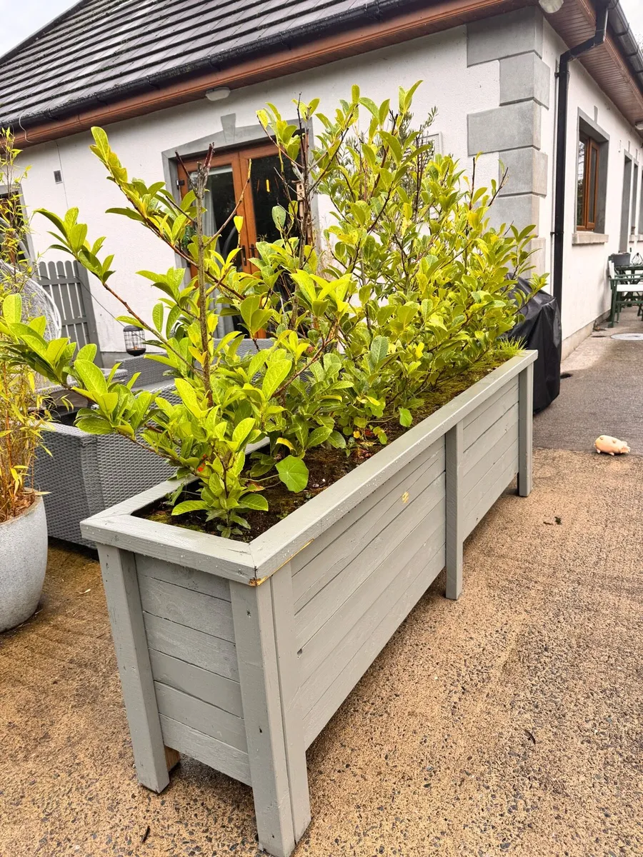 Garden planter - Image 2