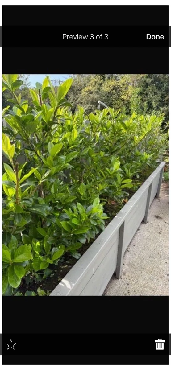 Garden planter - Image 4