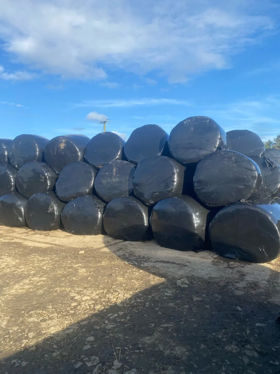 1000 Silage bales