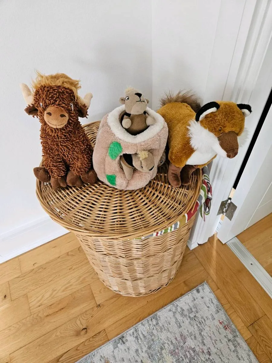 Dog toys - Image 1