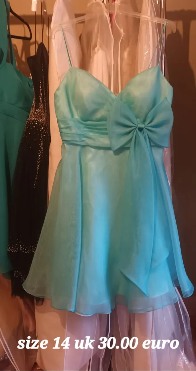 Dress/Gowns - Image 1