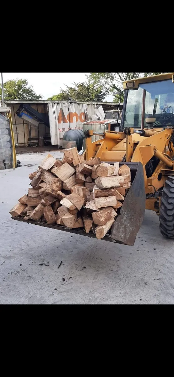 Firewood - Image 2