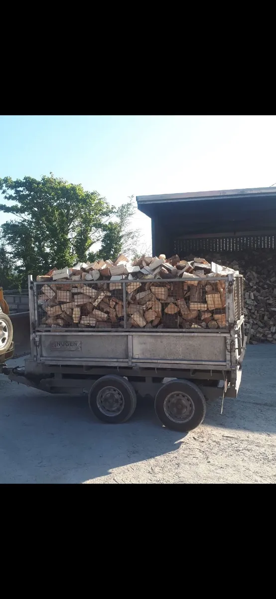 Firewood - Image 1
