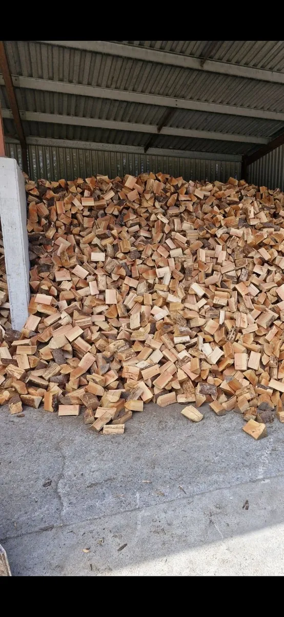 Firewood - Image 4