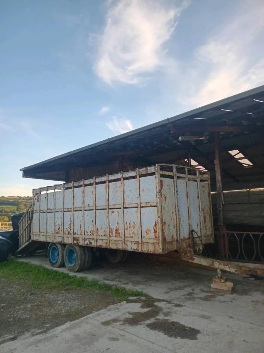 Cattle trailer 22 Foot double axel "Cheap" - Image 4