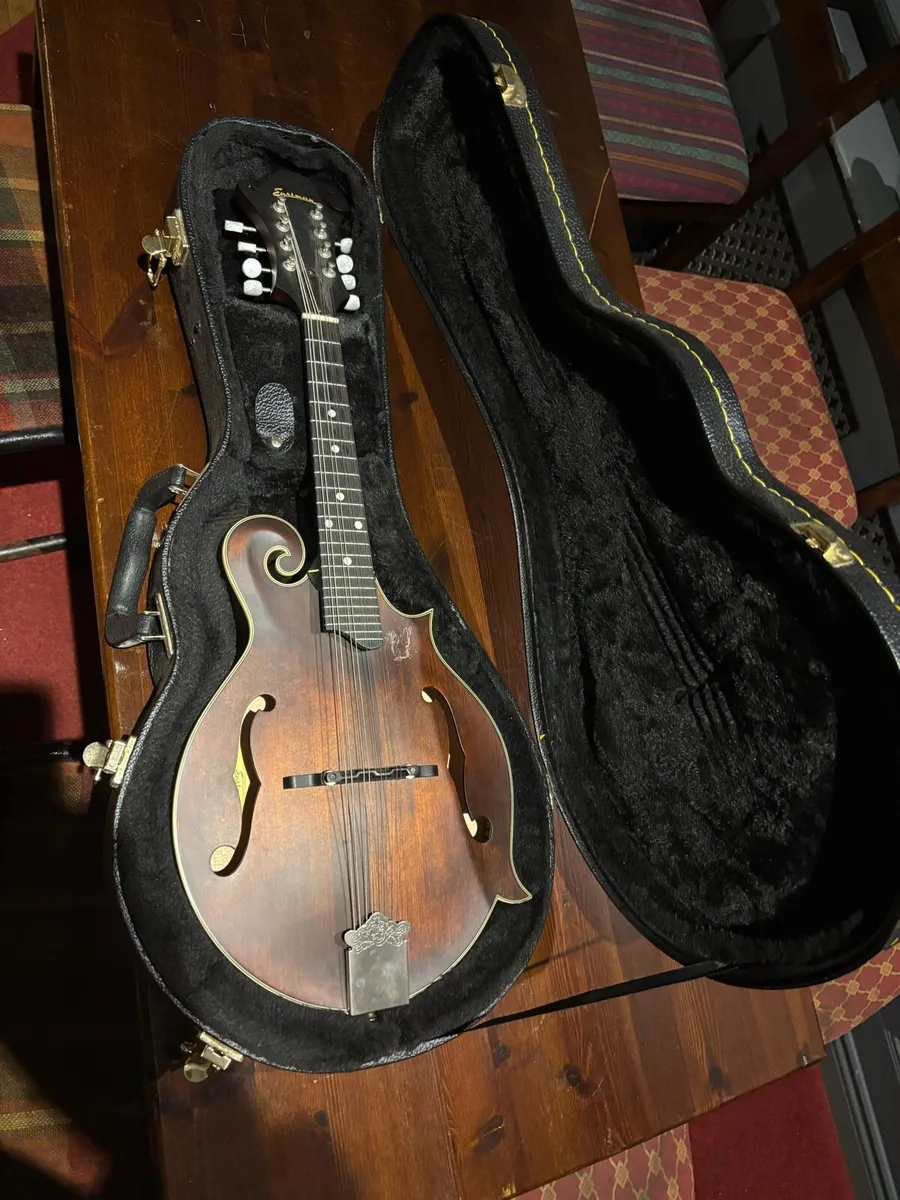 Eastman MD315 - Image 1