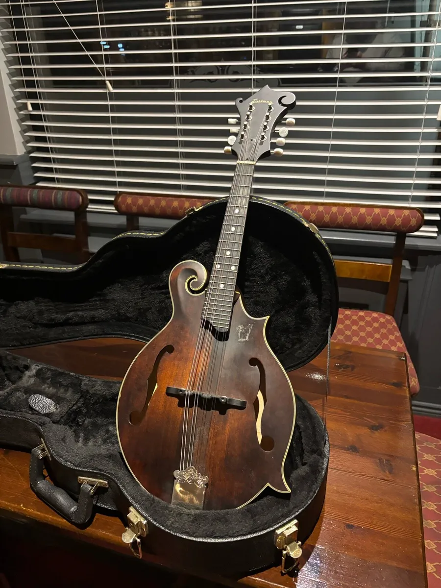 Eastman MD315 - Image 2