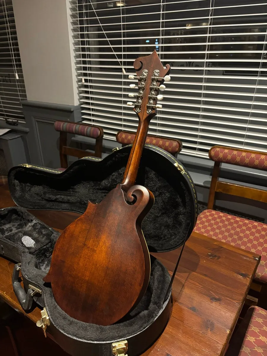 Eastman MD315 - Image 3