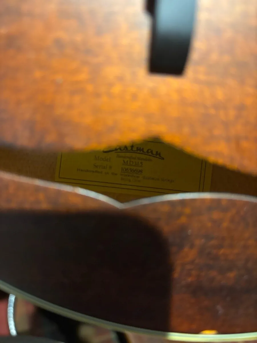 Eastman MD315 - Image 4