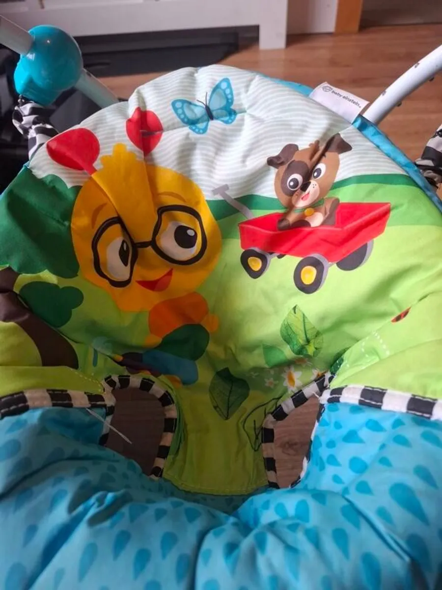 Baby Einstein Neighbourhood Friends Activity Jumper - Image 4