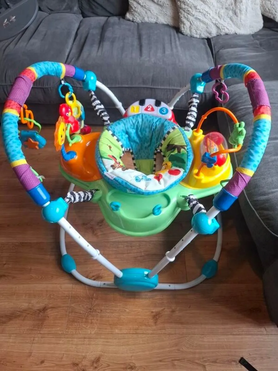Baby Einstein Neighbourhood Friends Activity Jumper - Image 1
