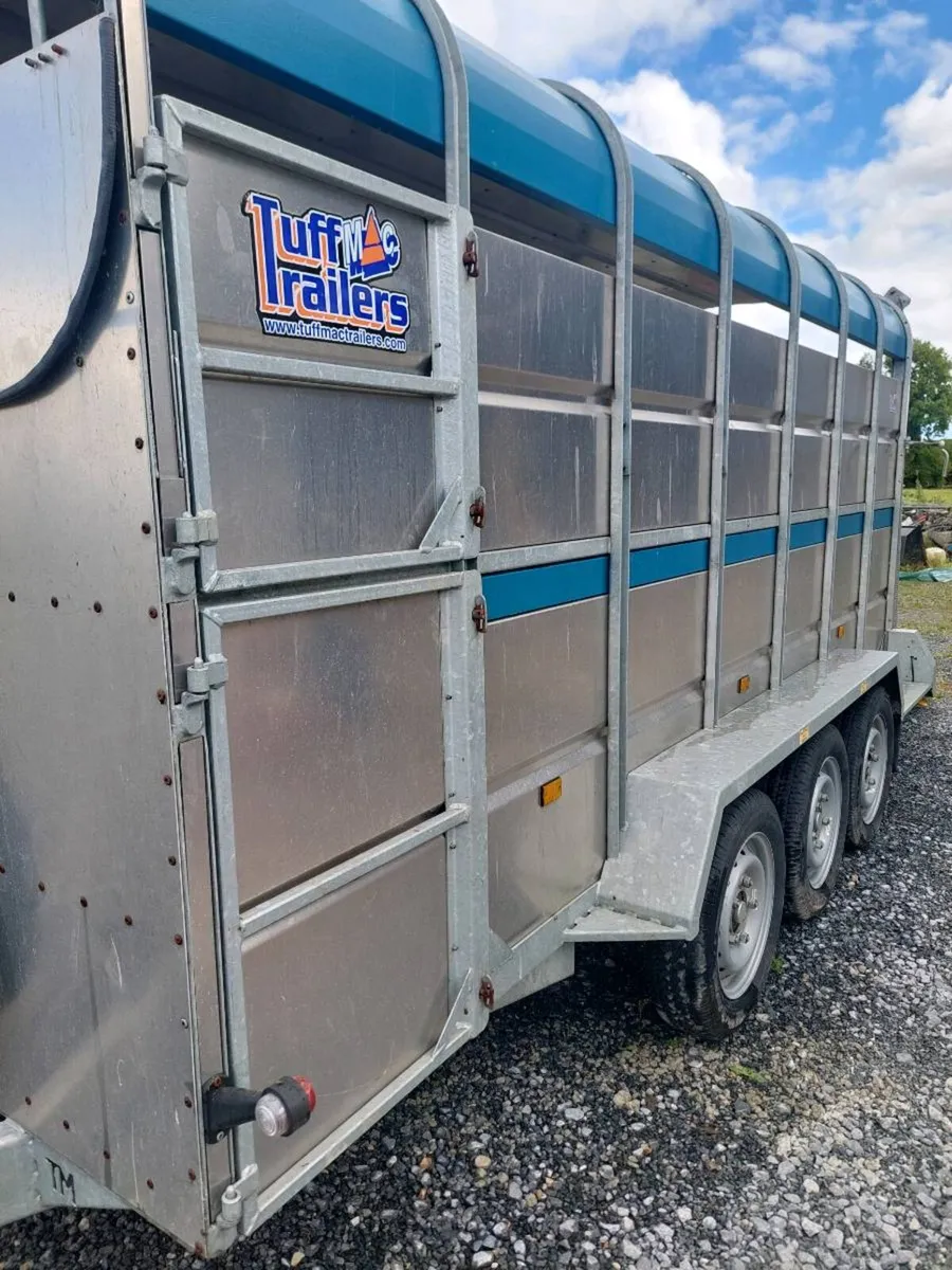 14 foot Tuffmac Tri Axle  Livestock Trailer - Image 2