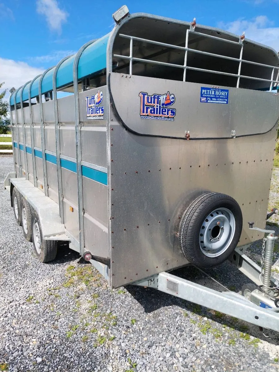 14 foot Tuffmac Tri Axle  Livestock Trailer - Image 1