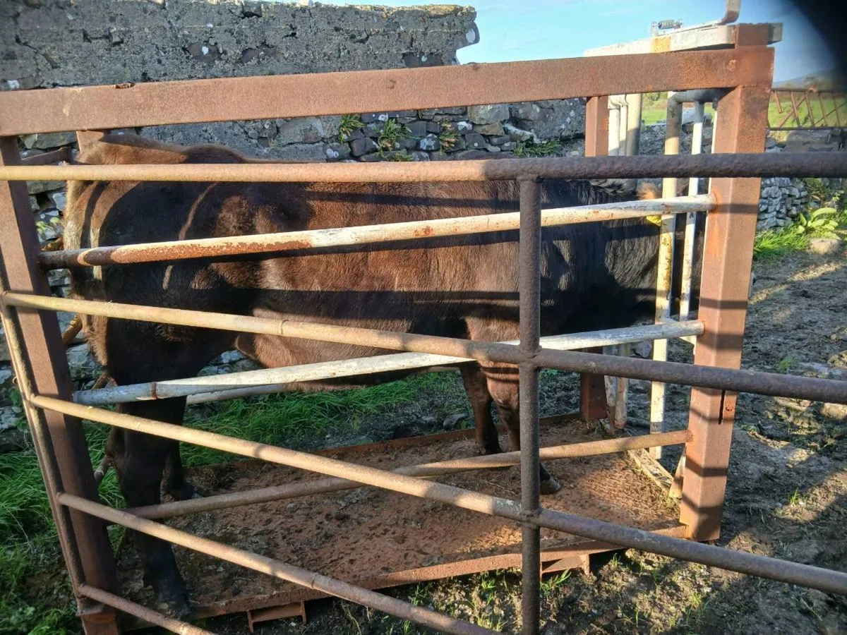 Mobile cattle crate - Image 1