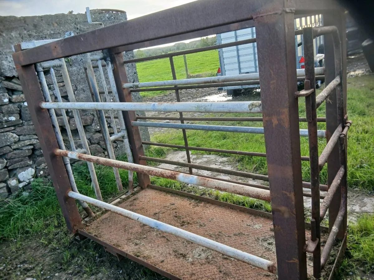 Mobile cattle crate - Image 2