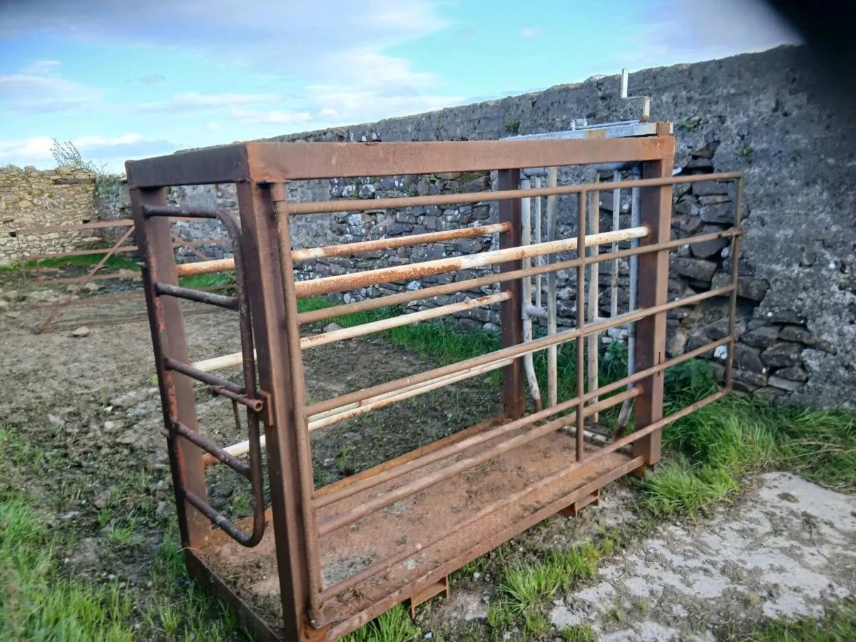 Mobile cattle crate - Image 3