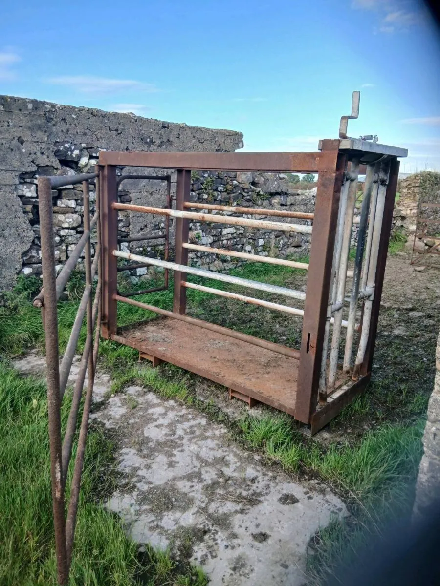 Mobile cattle crate - Image 4