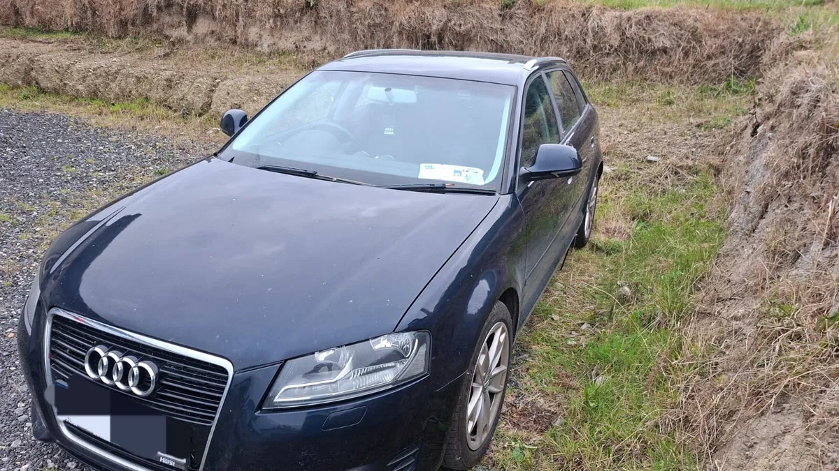 Audi a3 1.6tdi - Image 1