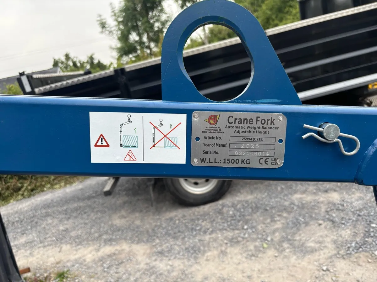 Crane forks - Image 4