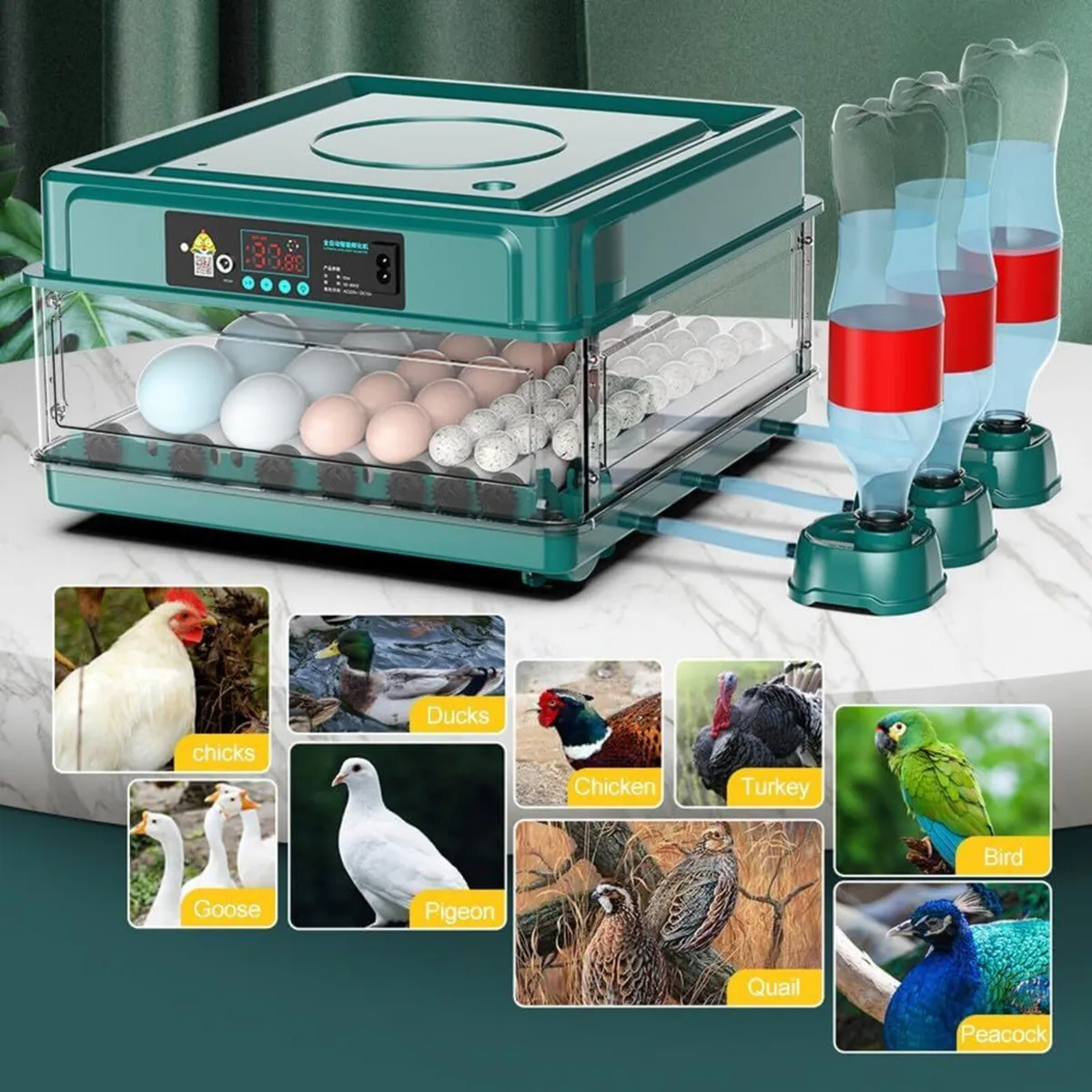 Automatic Egg Hatcher 48 Egg with Egg Turner - Image 3