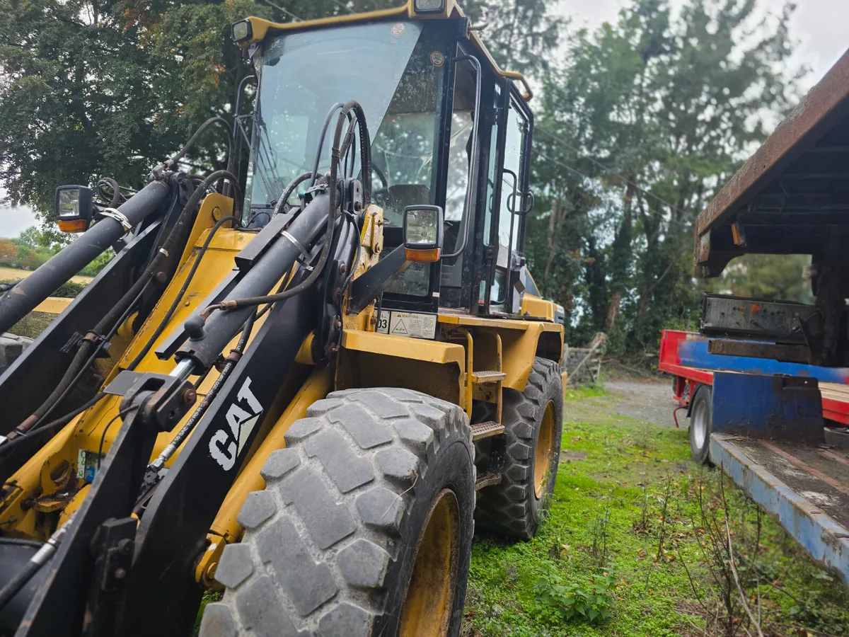 Caterpillar - Image 4