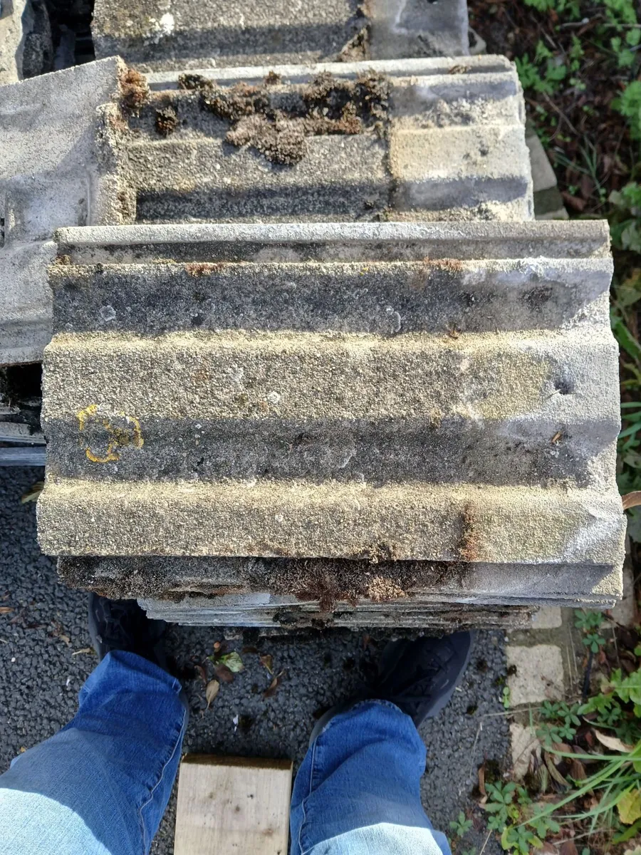 Roof tiles - Image 4