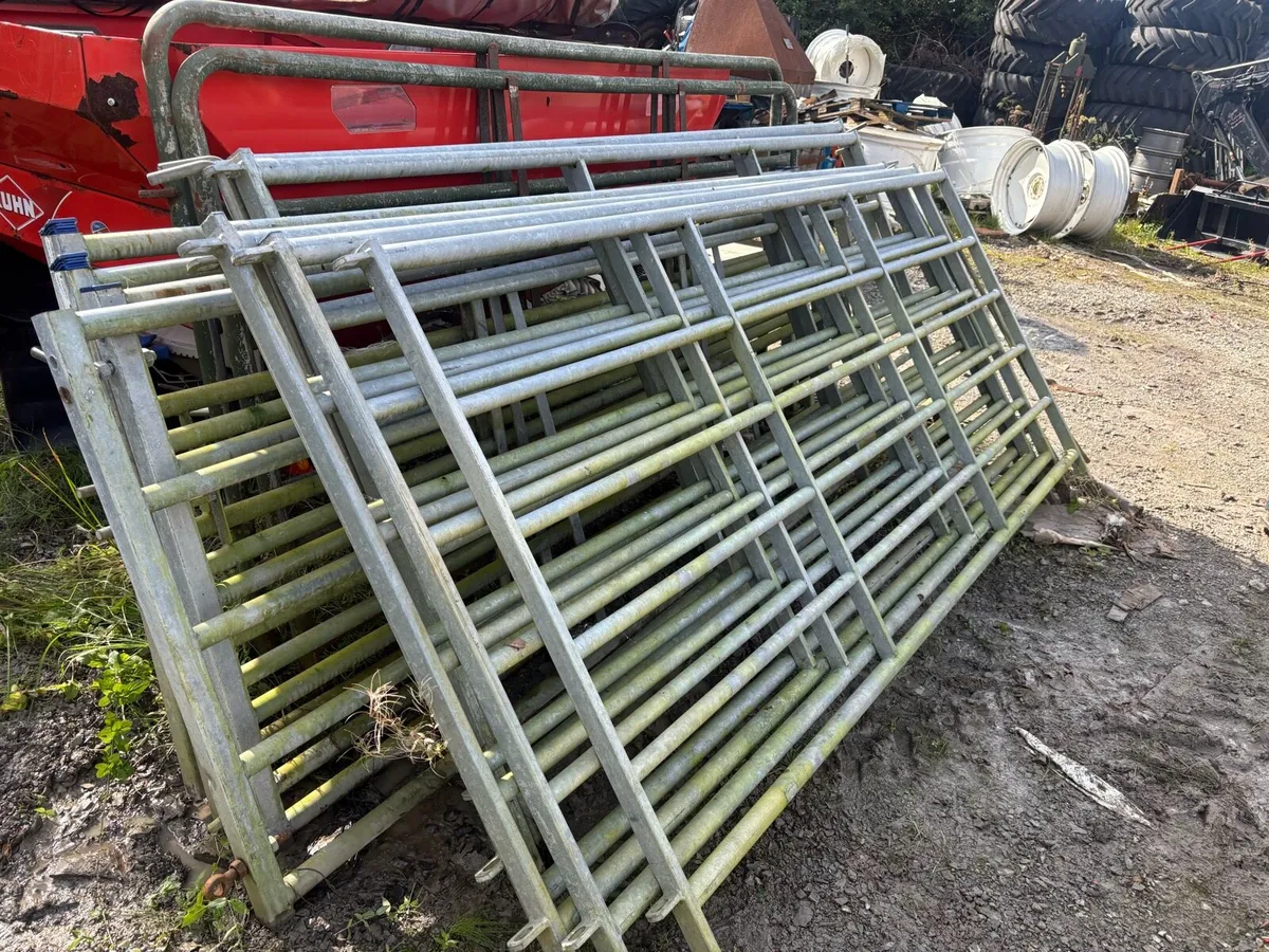 10 foot heavy duty gates - Image 1