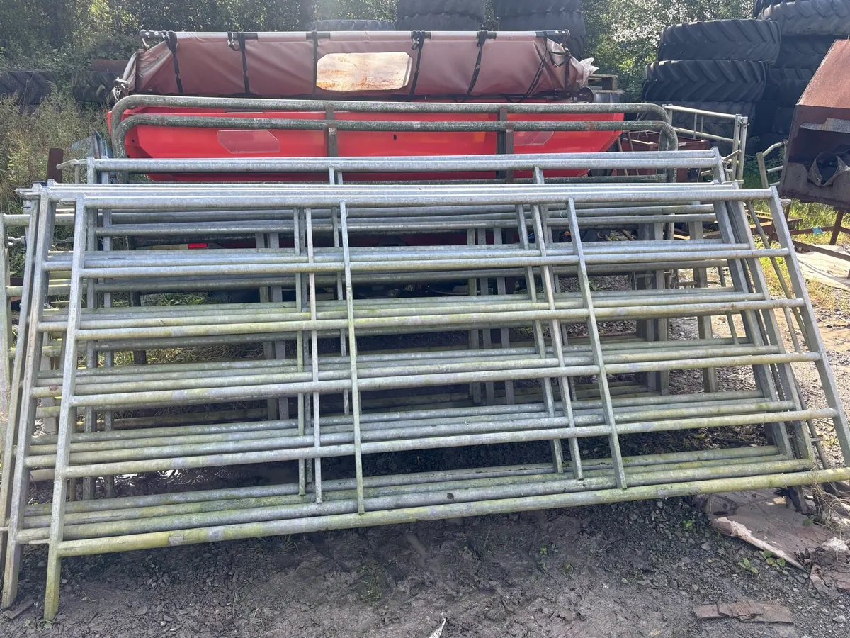 10 foot heavy duty gates - Image 2