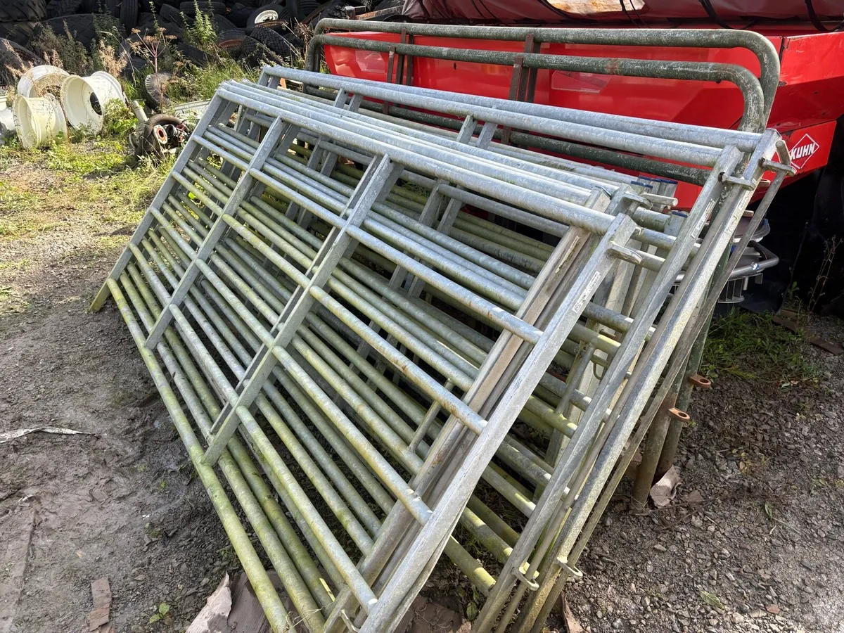10 foot heavy duty gates - Image 3