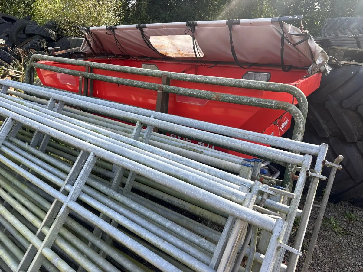 10 foot heavy duty gates - Image 4
