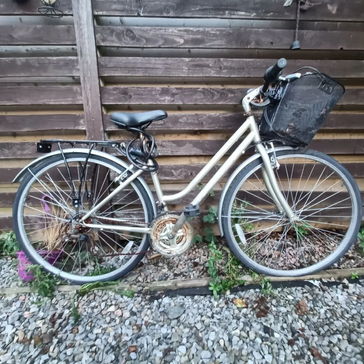 Bike - Image 1