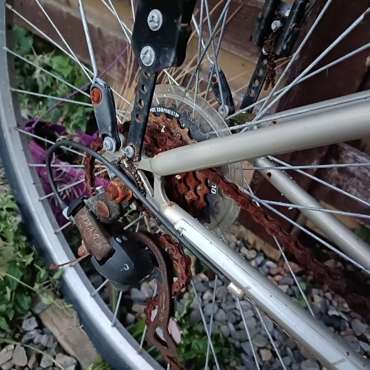 Bike - Image 4