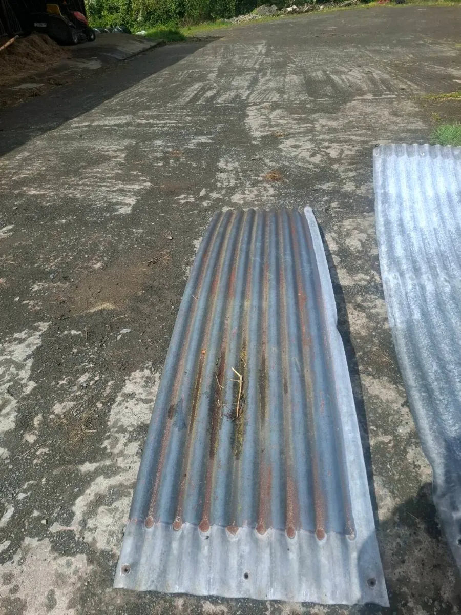 Galvanise sheets and tree guards - Image 3