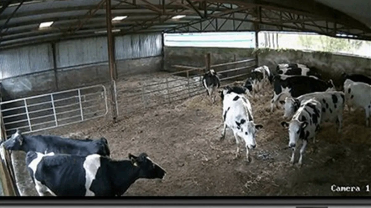 CCTV SYSTEMS- CALVING/FOALING/SURVEILLANCE - Image 2