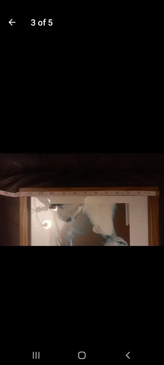 Border collie framed picture - Image 3