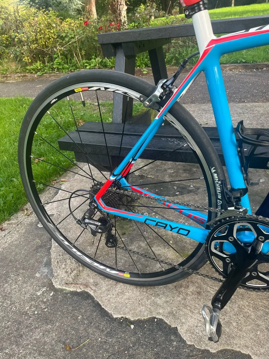Focus Cayo Carbon Road bike. - Image 3