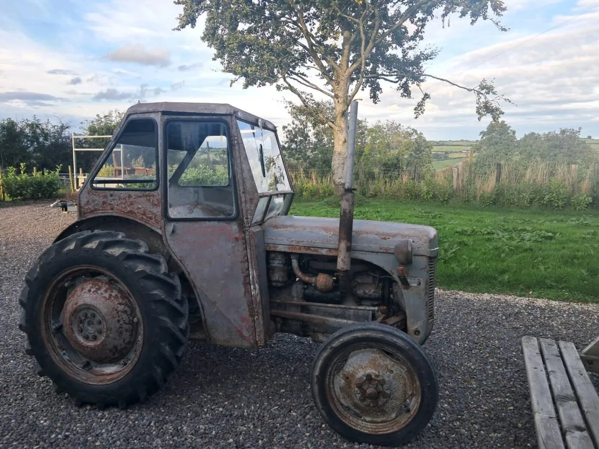 T20 diesel  tractor - Image 2