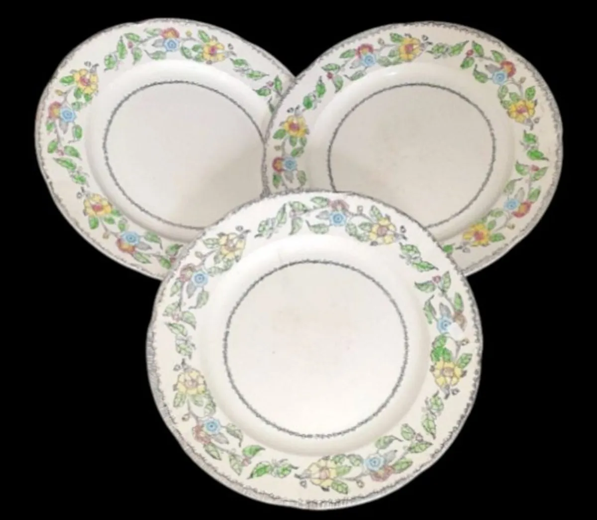 Vintage Jas. Broadhurst & Sons "Warwick"Plates - Image 2