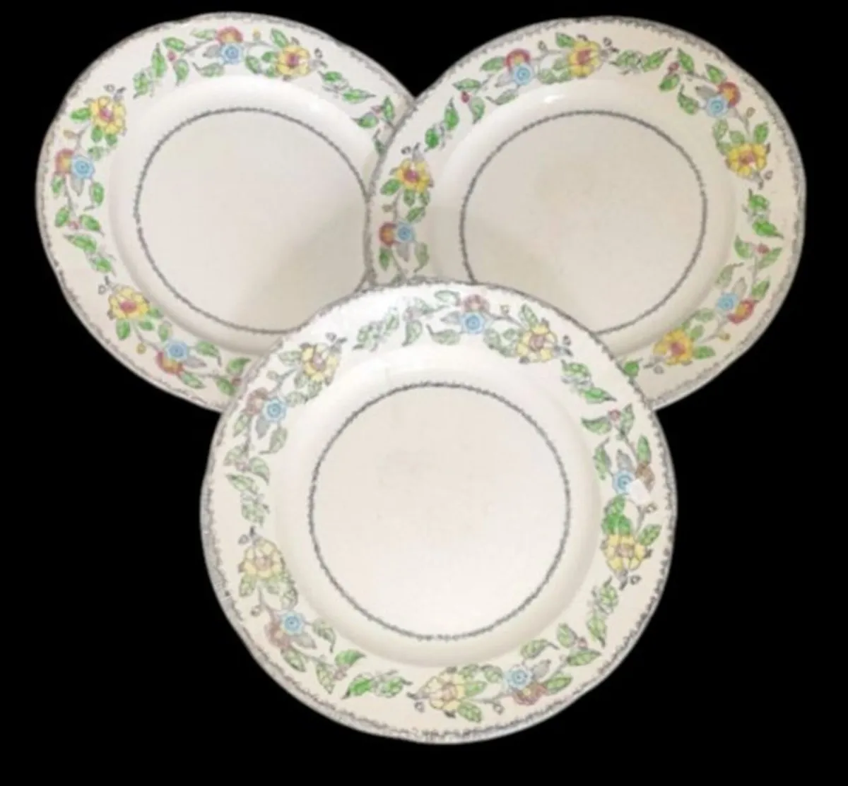 Vintage Jas. Broadhurst & Sons "Warwick"Plates - Image 3