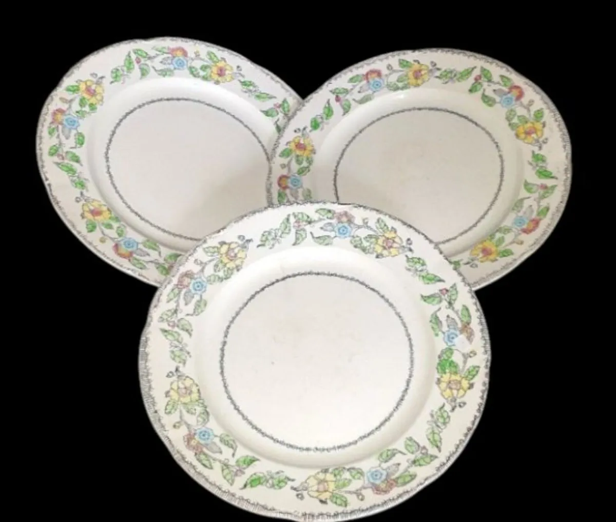 Vintage Jas. Broadhurst & Sons "Warwick"Plates - Image 4
