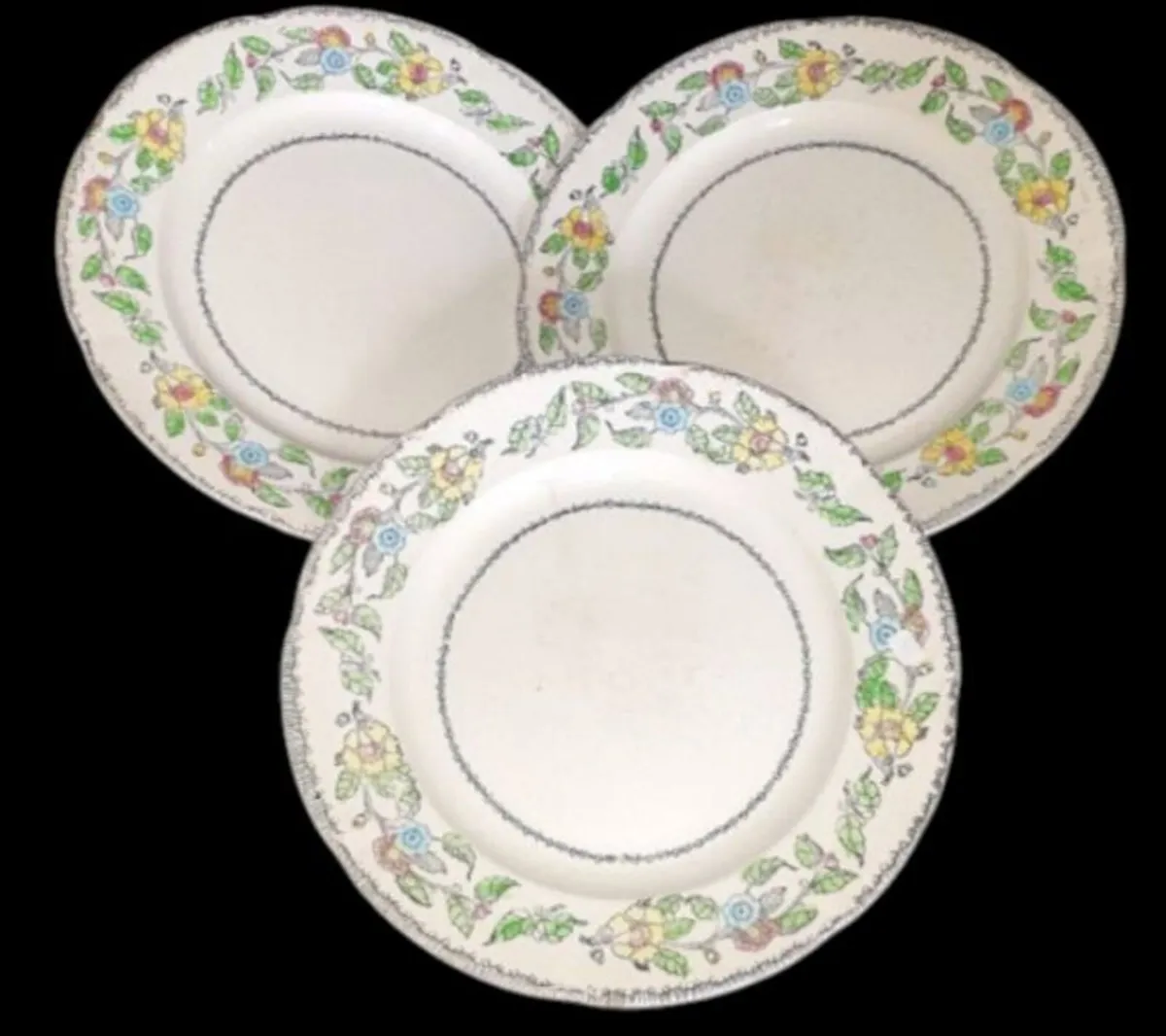Vintage Jas. Broadhurst & Sons "Warwick"Plates - Image 1