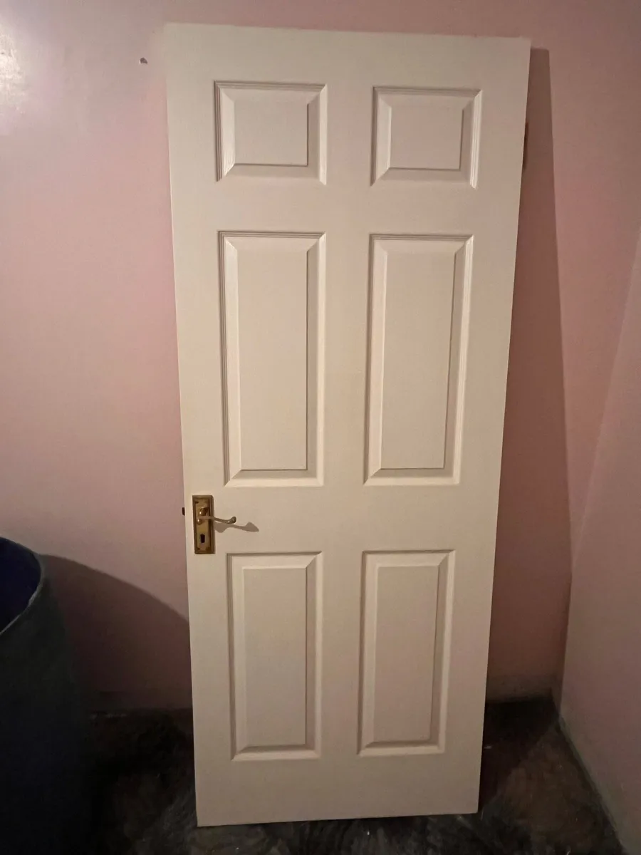 Internal Panel Doors (8no.) - Image 1
