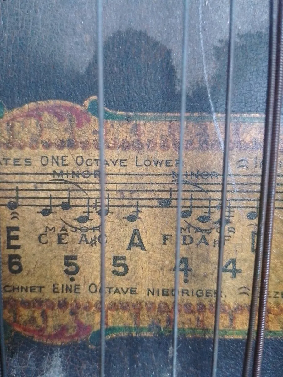Antique 1894 Menzenhauer's American Guitar Zither - Image 3