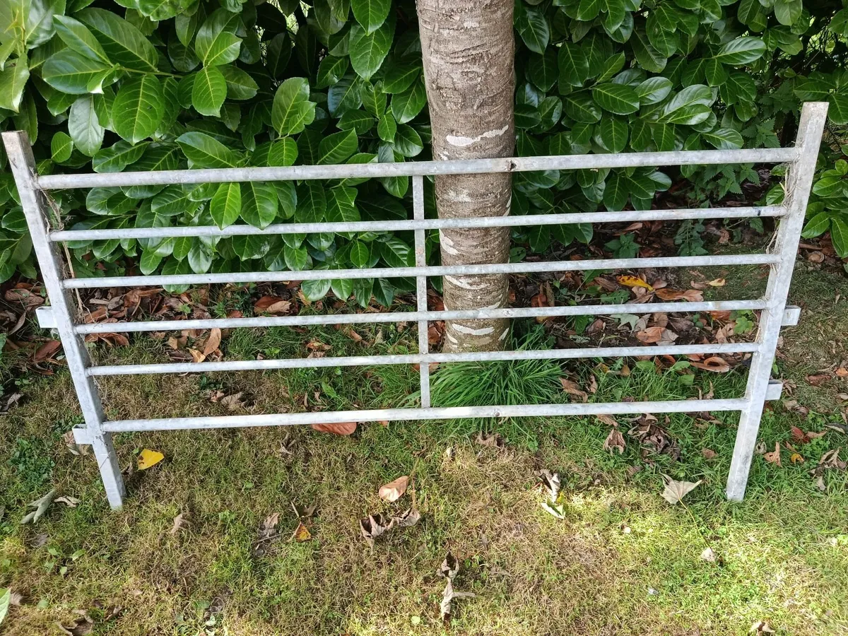 Gate