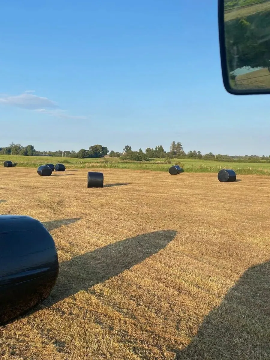 54 Silage Bales 3rd Cut - castlewarren area